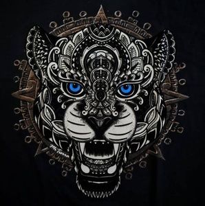 Meet your Posher, Cesar